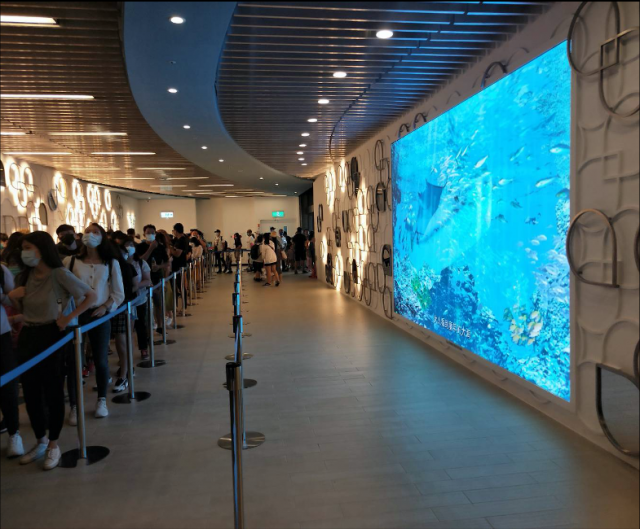 【橫濱八景島水族館購票廳】國泰置地廣場  (桃園青埔)